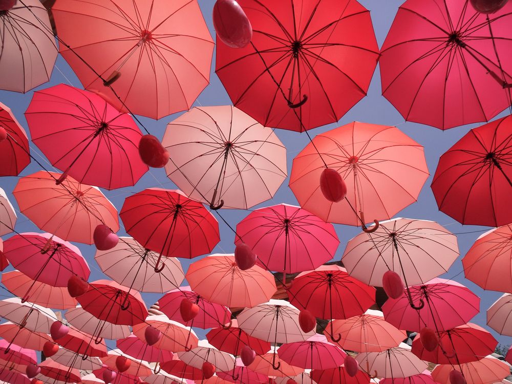 Photograph by Арина Стрябчева