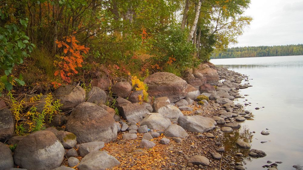 Фотография автора Юрий Цыркунов