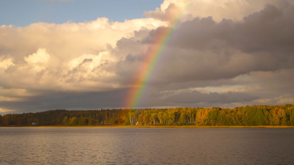 Фотография автора Юрий Цыркунов
