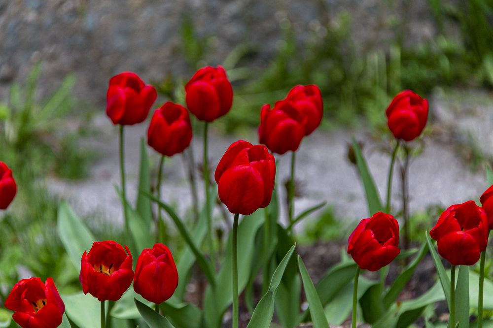 Photograph by Ильдар Гарифуллин