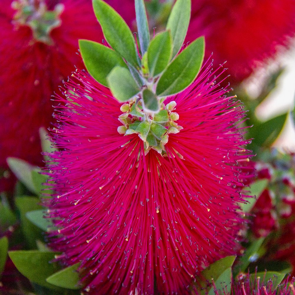 Photograph by Ильдар Гарифуллин