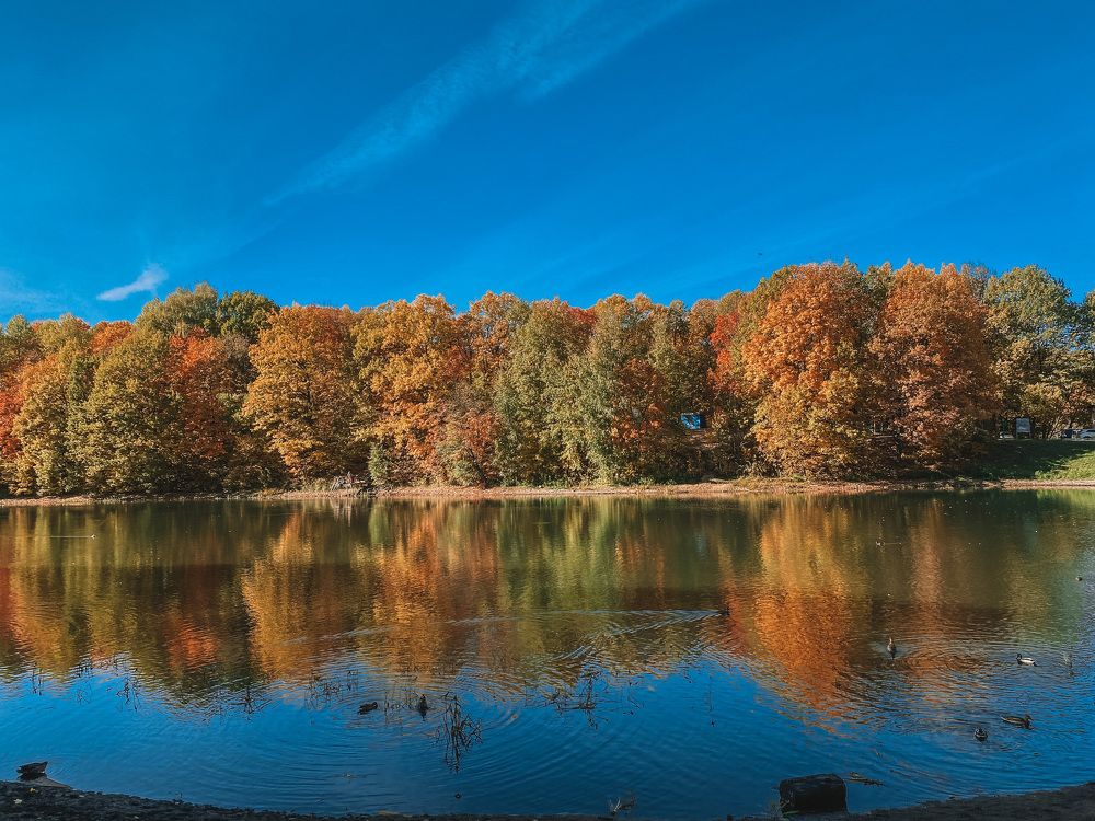 Photograph by Maria Kurakhtanova