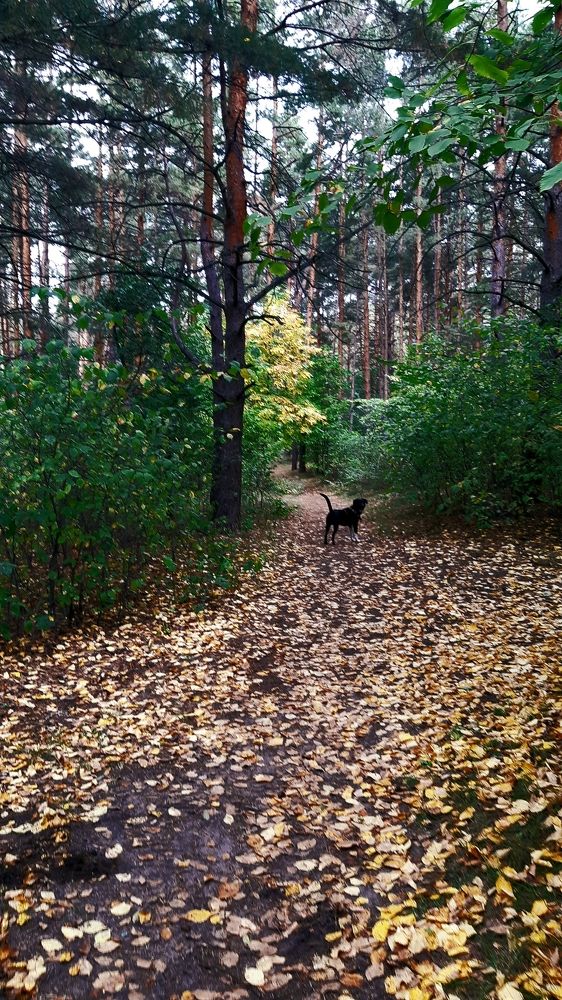 Photograph by Ольга Александрова