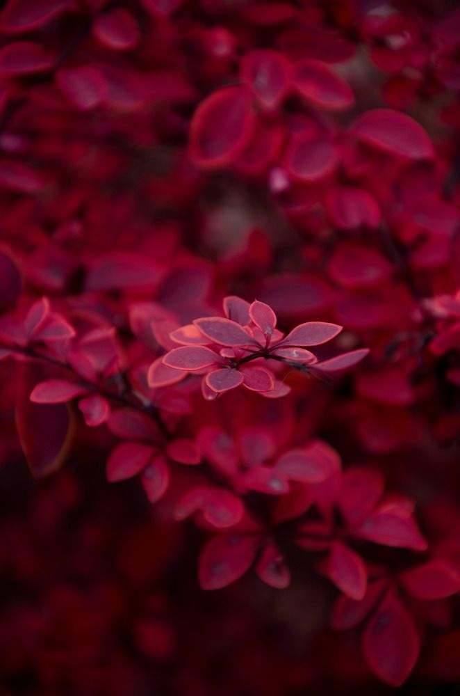 Photograph by Екатерина Якушева