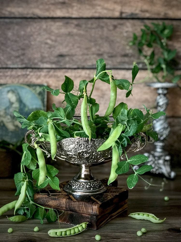 Photograph by Наталья Перерва