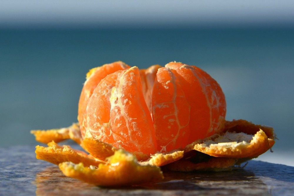 Фотография автора Рафаиль Садыков