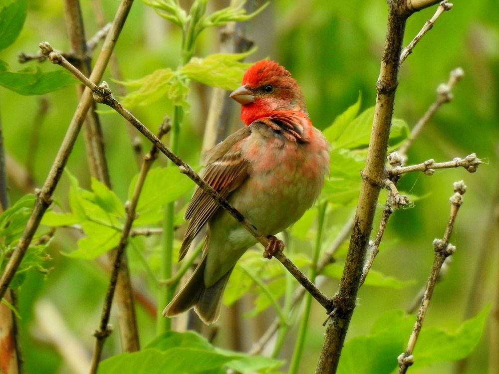 Photograph by Татьяна Калугина