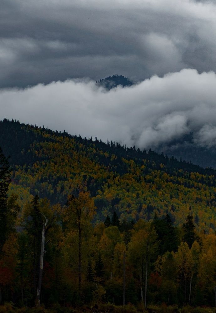 Photograph by Евгений Крюков