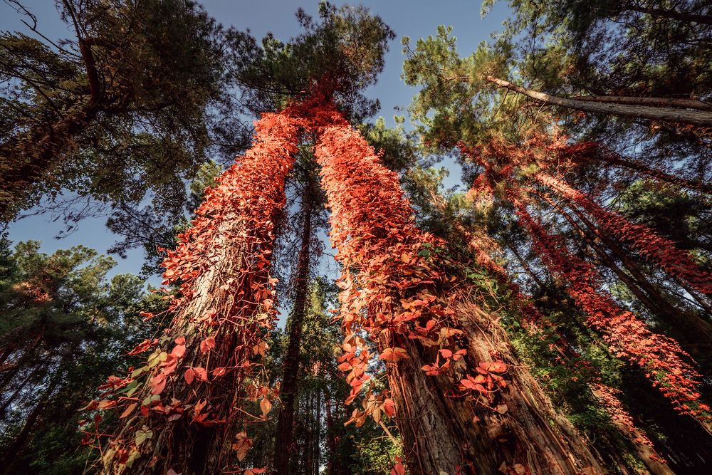 Photograph by Юрий Гаврилов