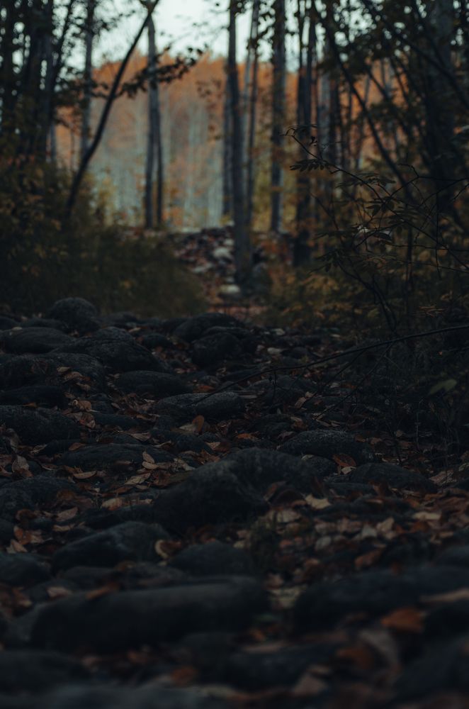 Photograph by Евгений Крюков