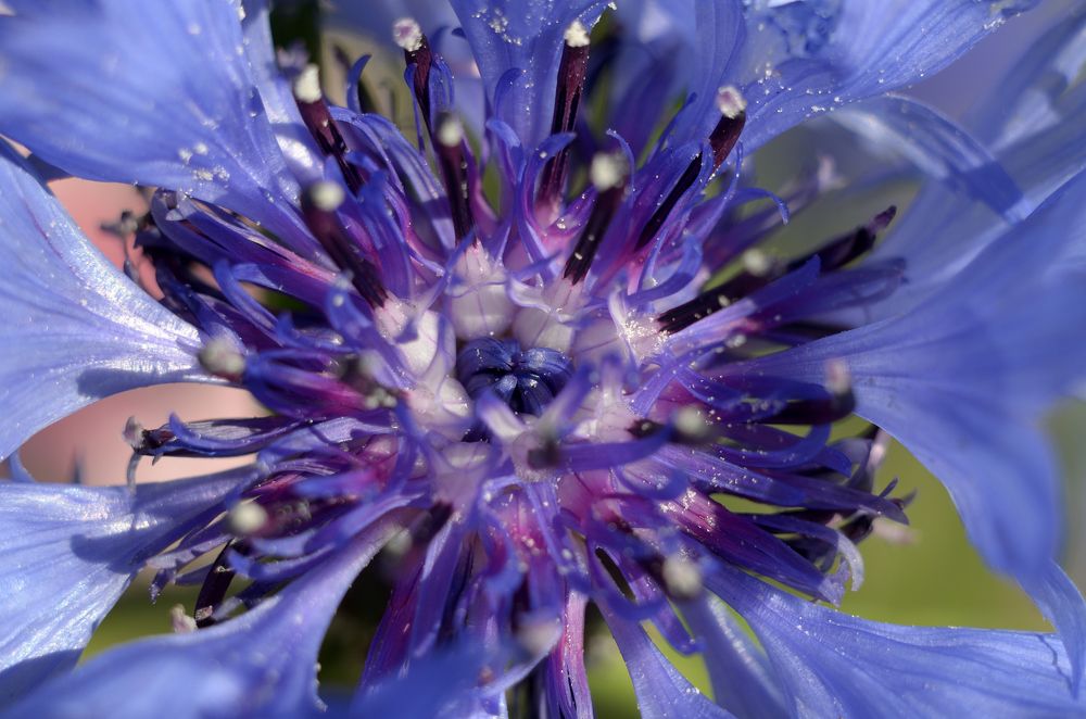 Фотография автора Алексей Батюков