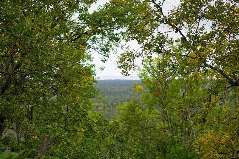 Photograph by Алексей Ильин