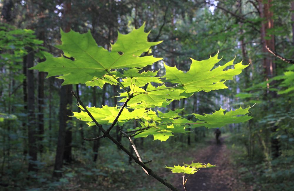 Фотография автора Кухта Мария