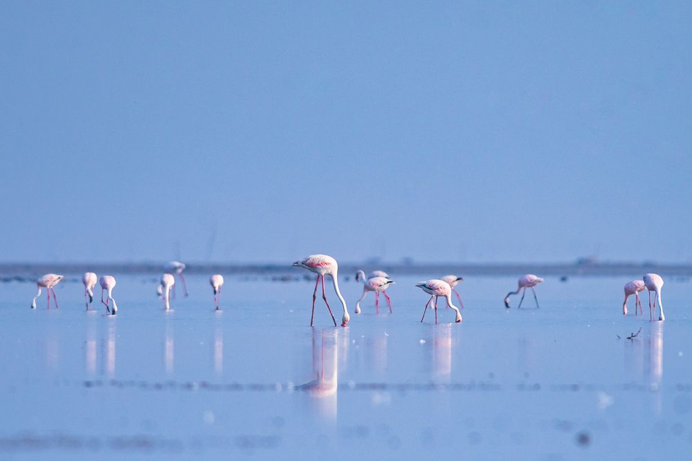 Photograph by Ranjith Kumar