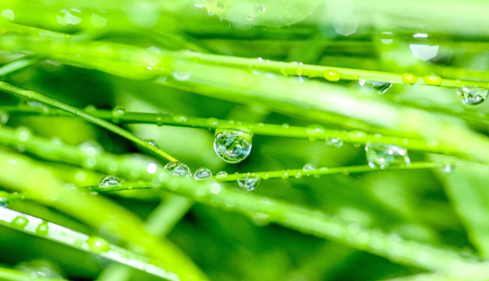 Photograph by Александр Трифанов