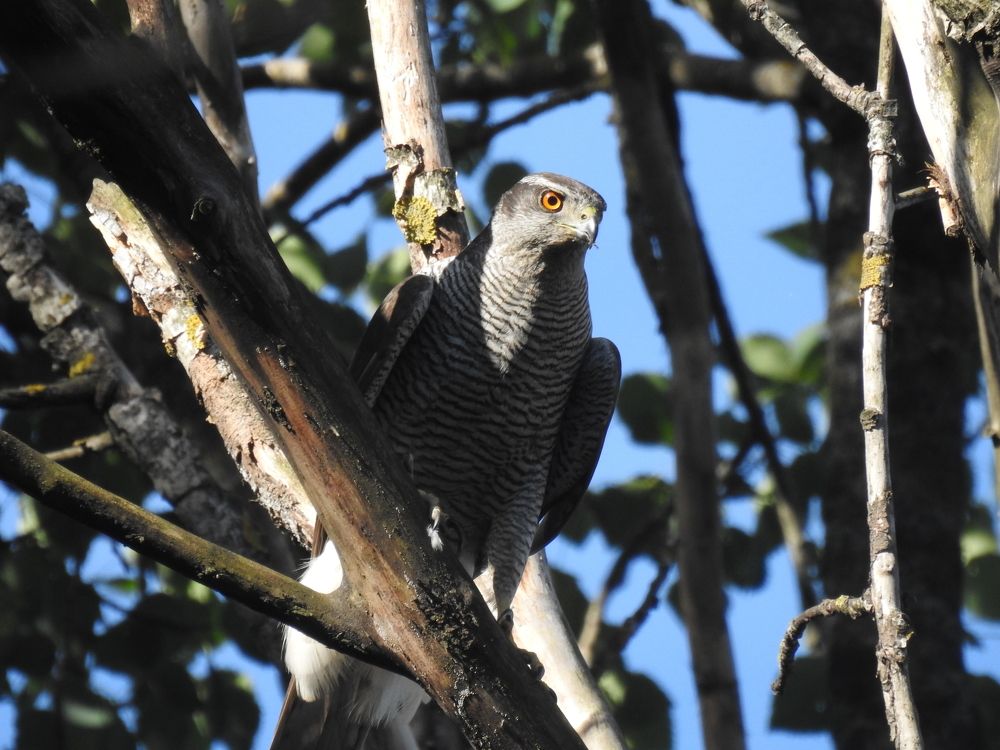 Photograph by Георгий