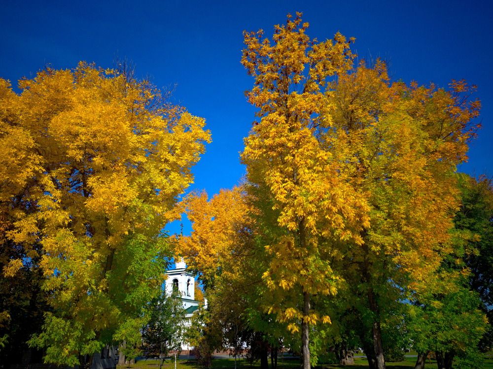 Photograph by Андрей Лебедев