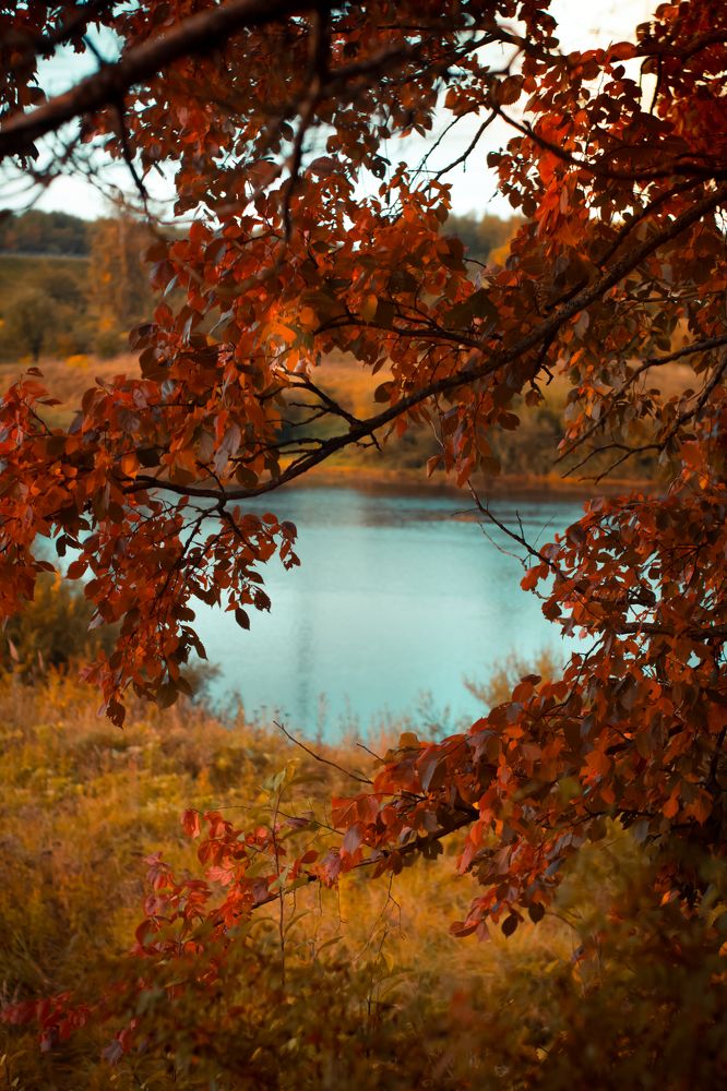 Photograph by Надежда Богачкина