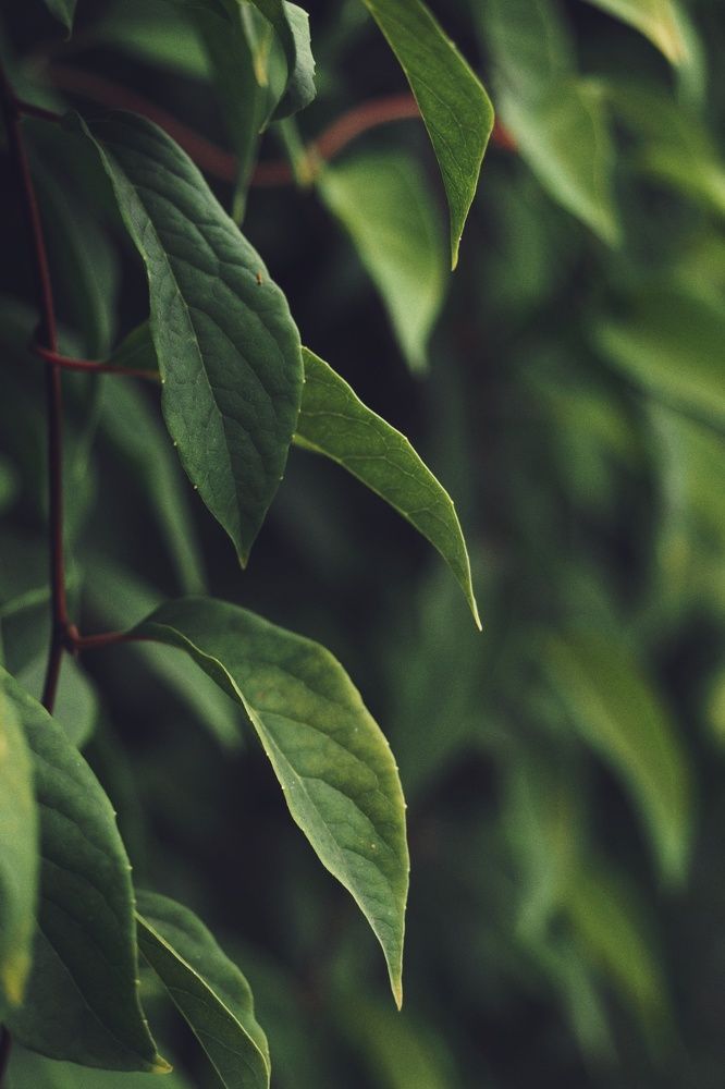 Photograph by Алексей Жарков