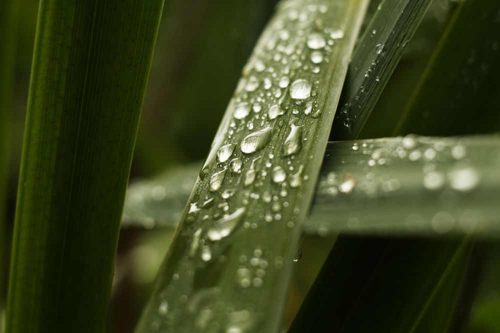 Photograph by Надежда Богачкина