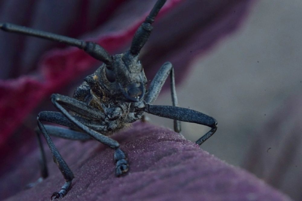 Photograph by Любовь Малышева