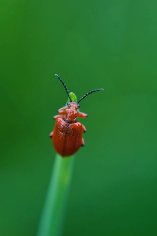 Photograph by Любовь Малышева