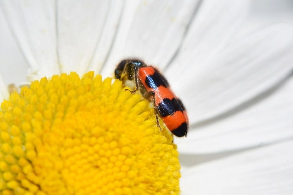 Photograph by Любовь Малышева