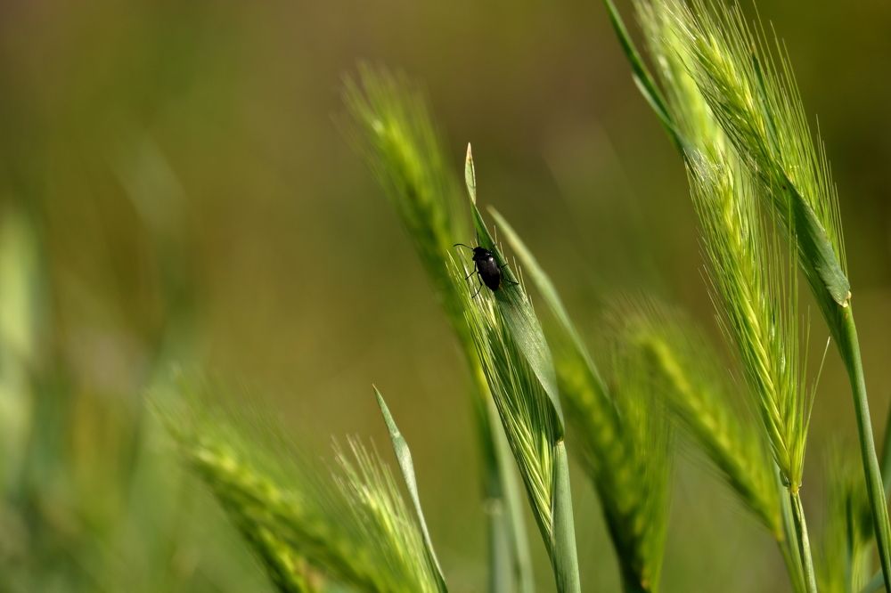Photograph by Юлия Куликова