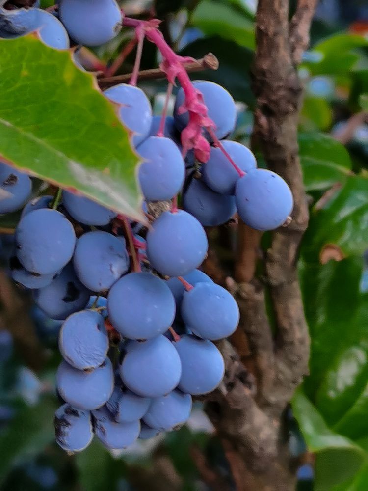 Photograph by Оксана Урбанович