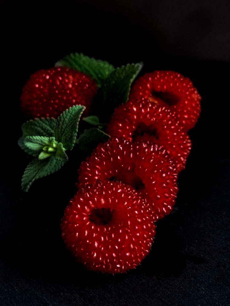 Photograph by Оксана Урбанович