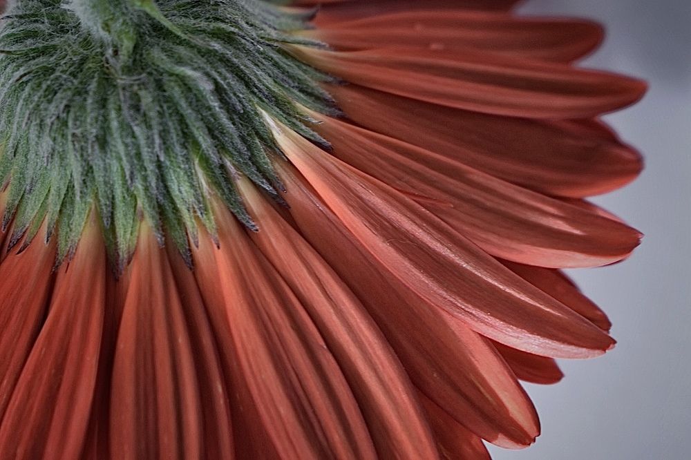 Photograph by Кира Бахвалова