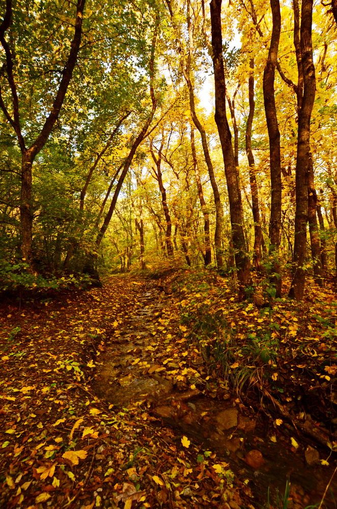 Photograph by Александр