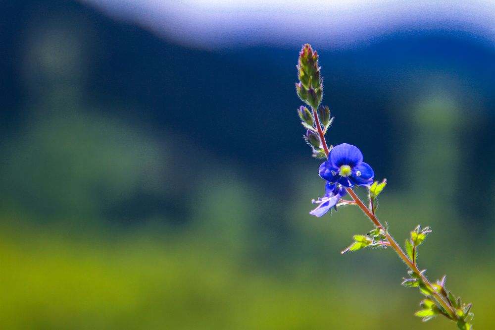 Photograph by Инесса Юровских