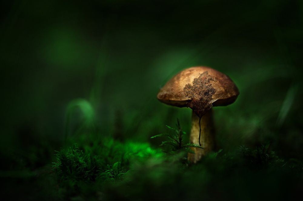 Photograph by Вадим Морозов