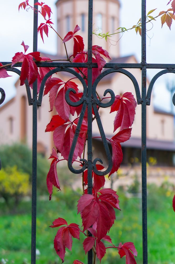 Photograph by Александр Пургин