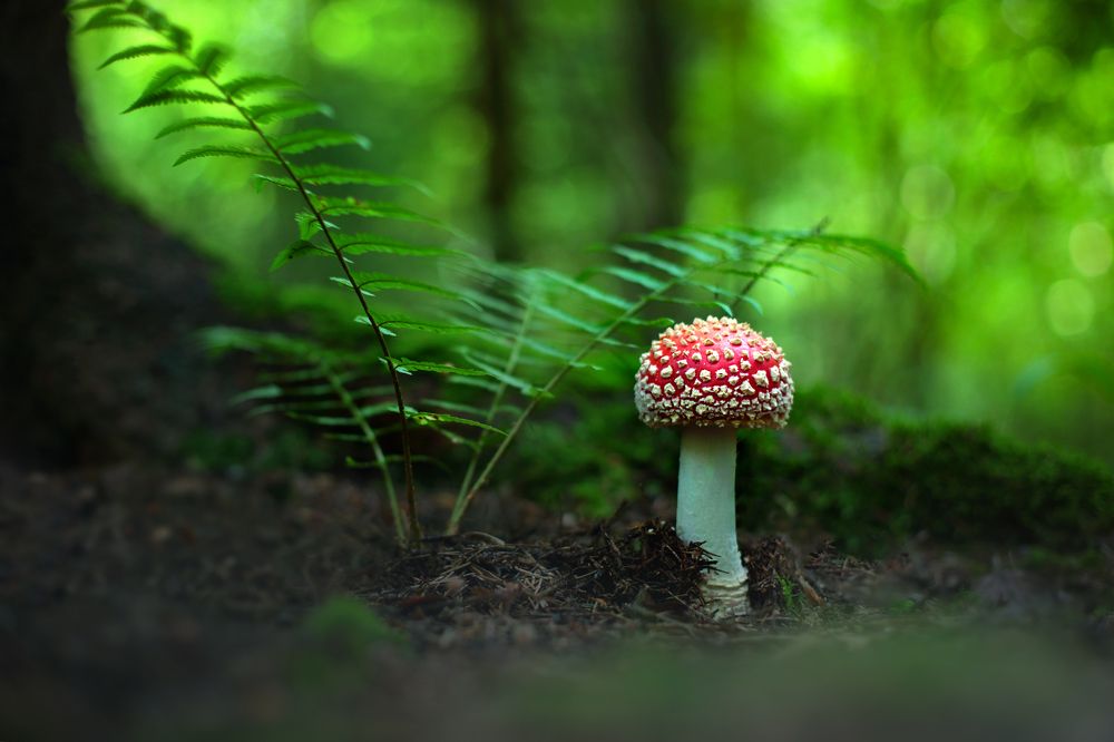 Photograph by Вадим Морозов