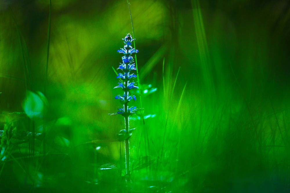 Photograph by Вадим Морозов