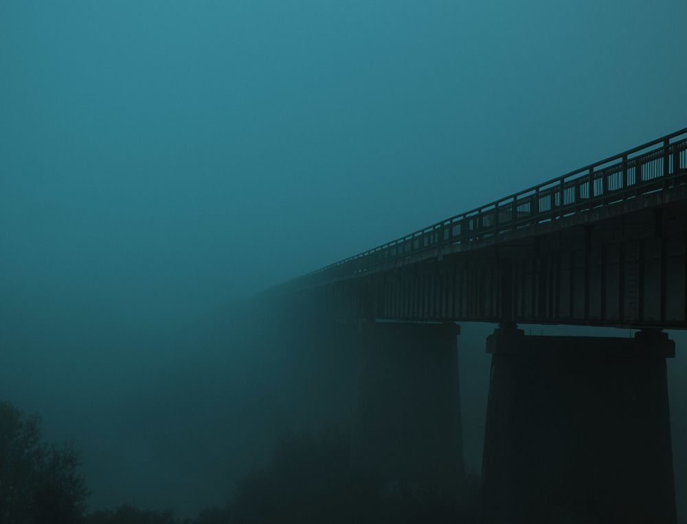 Photograph by Данила Черных