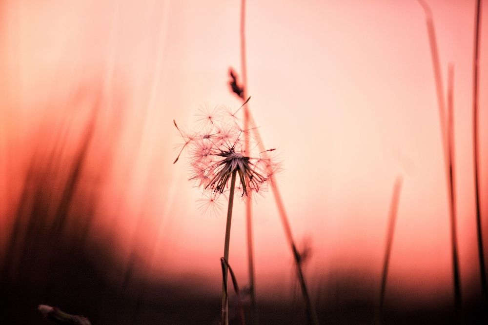 Photograph by Виктория Эверстова