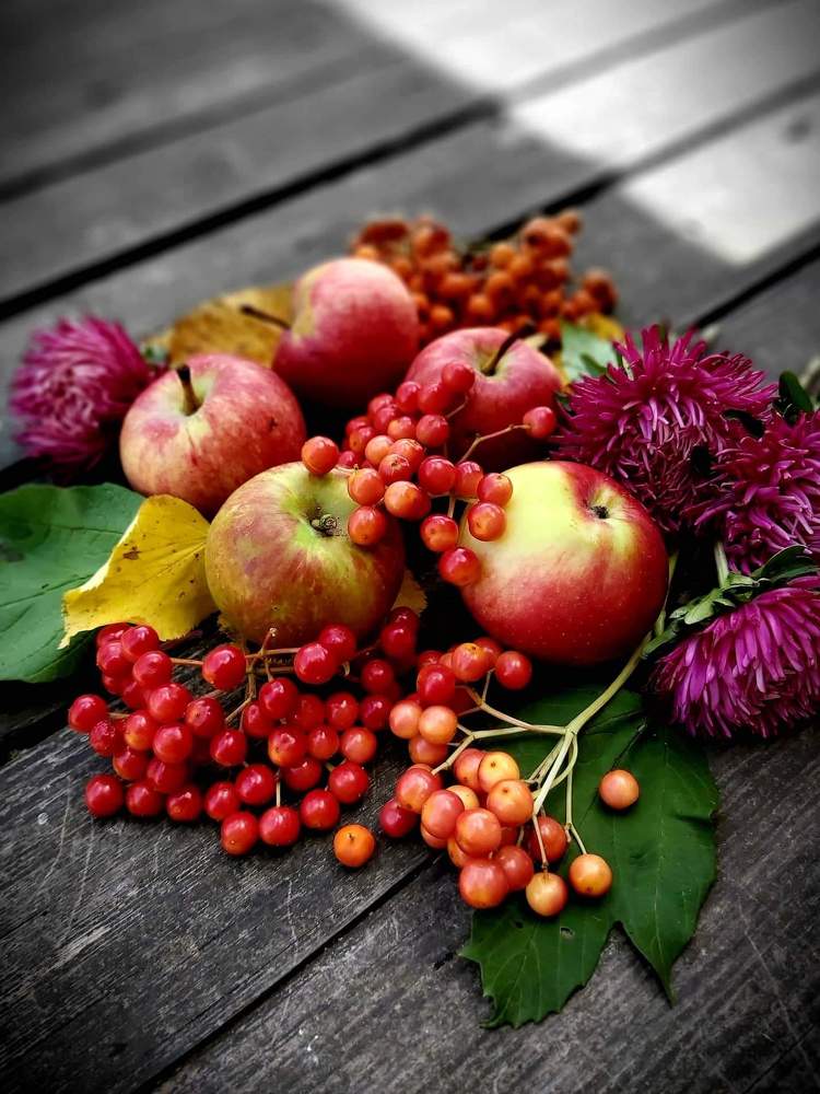 Photograph by Алена Ходатович