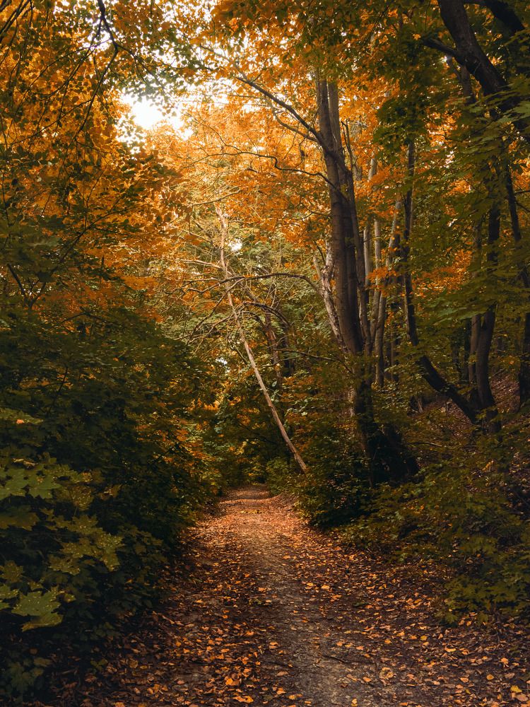 Photograph by Данила Черных