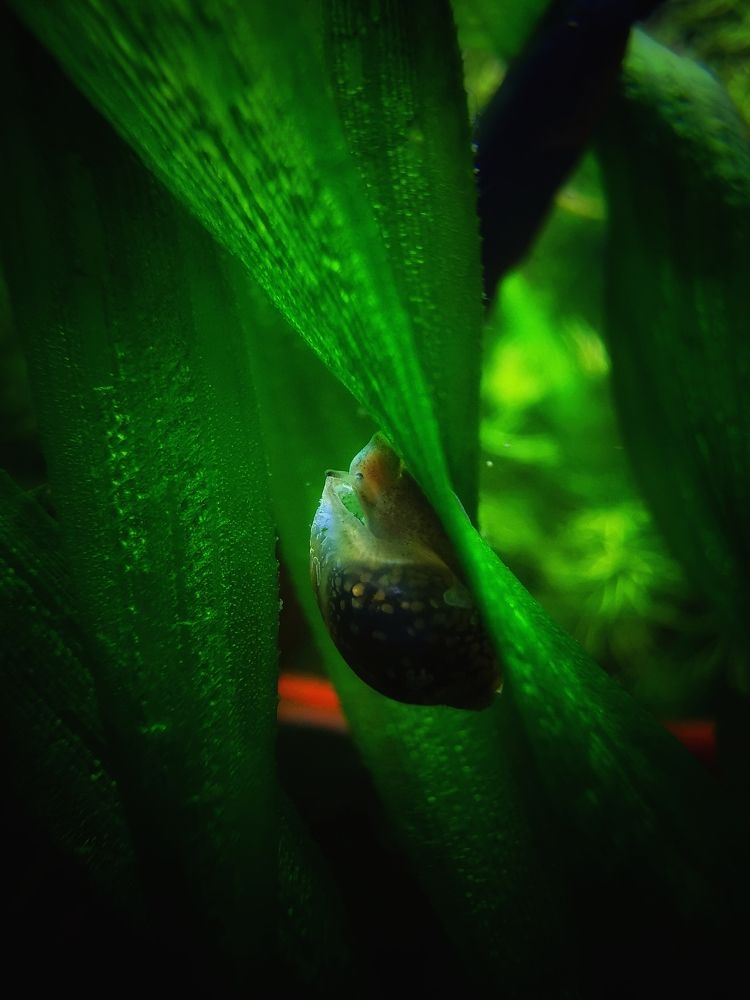 Photograph by Мария Колоскова