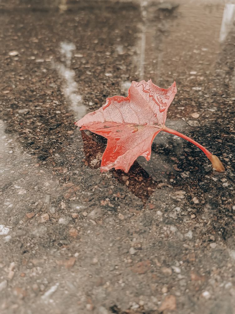 Photograph by Ирина Забродина