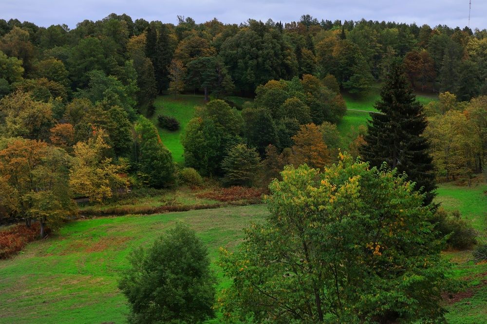 ,,50 оттенков зелёного,,