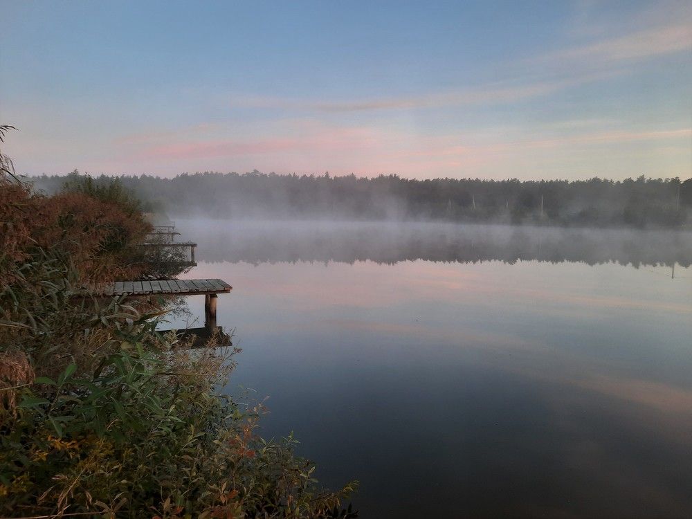 Фотография автора Елена Пикатова