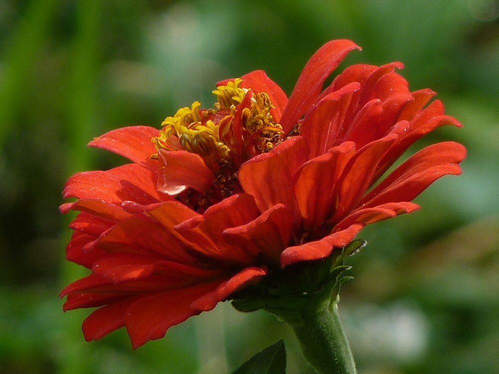 Photograph by Galina Leskova