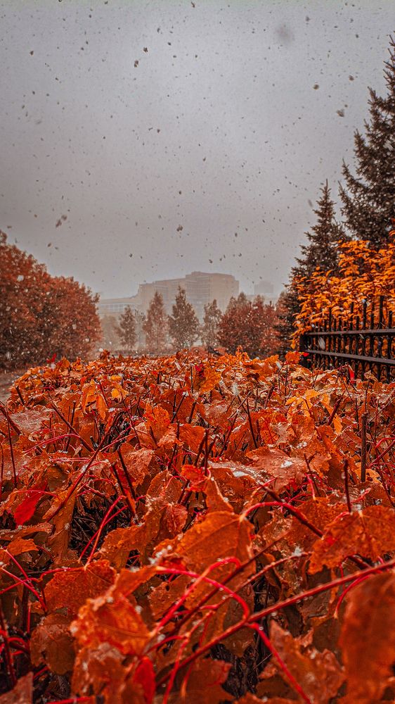 Photograph by Денис Бочаров