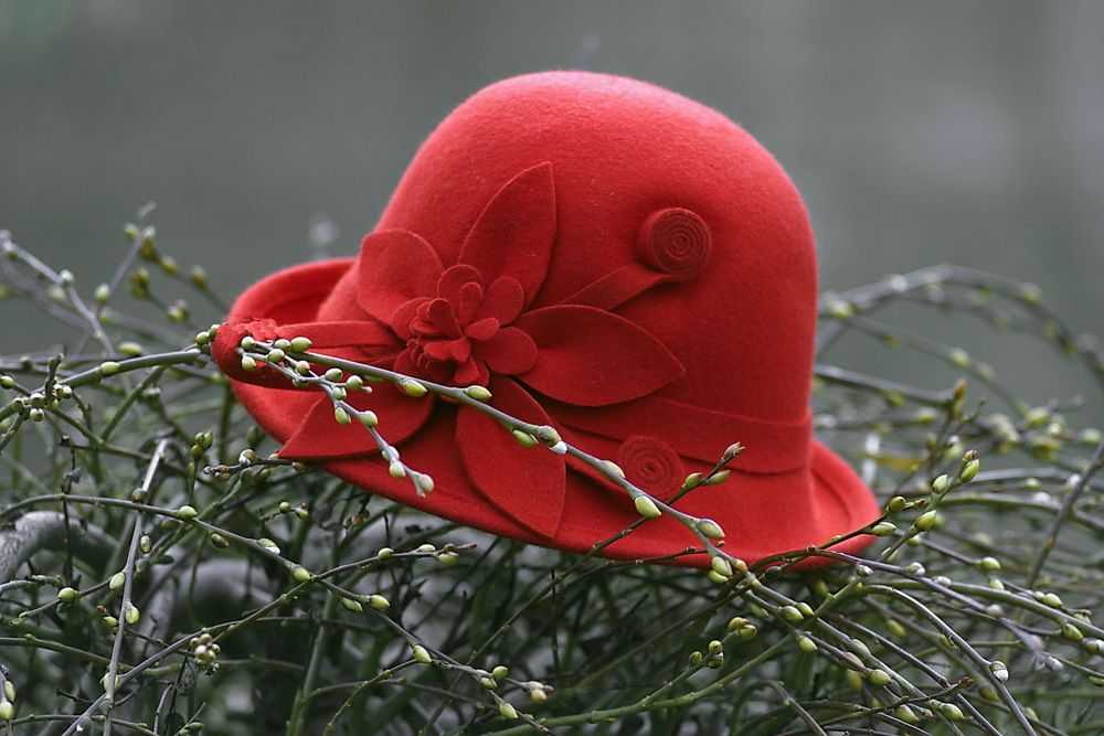 Photograph by Анатолий Святой