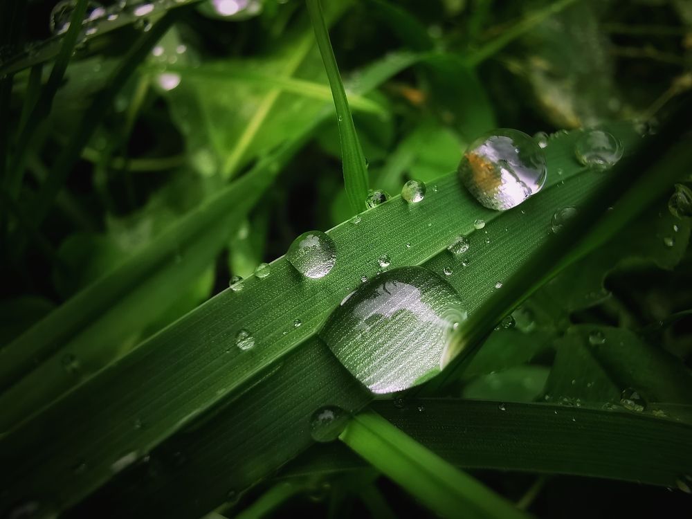 Photograph by Мария Колоскова