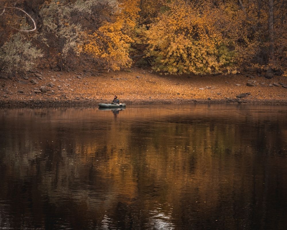 Фотография автора Андрей Баранов